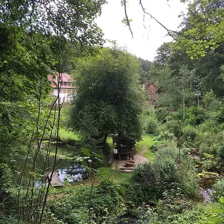 Gut Lauterbad ホテル