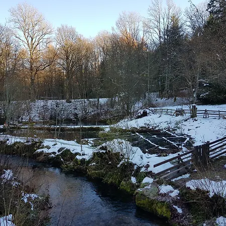 Gut Lauterbad Hotel 2*