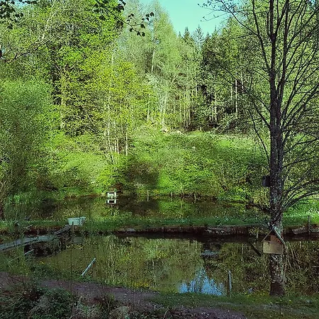 Gut Lauterbad Hotel 2*