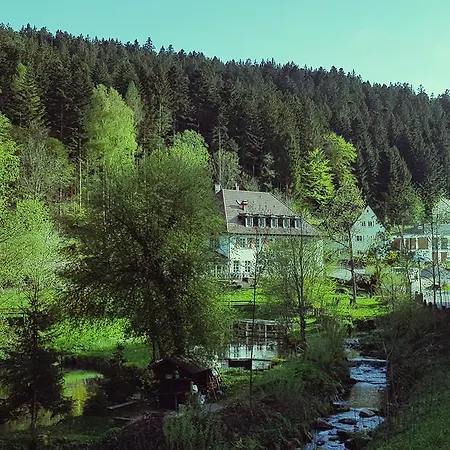 Hotel Gut Lauterbad