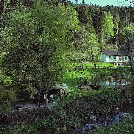 Gut Lauterbad Hotel