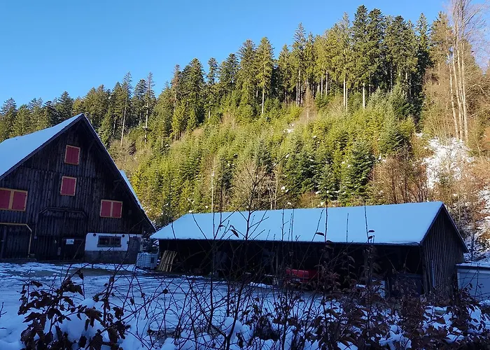 Hotel Gut Lauterbad Freudenstadt