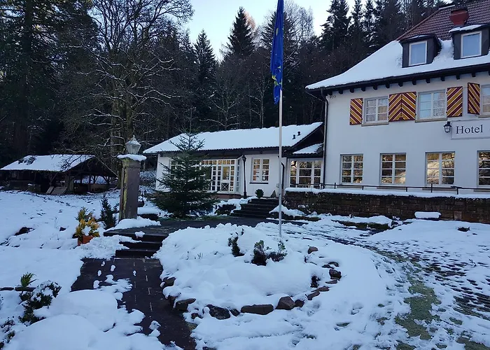 Gut Lauterbad Hotel 2*